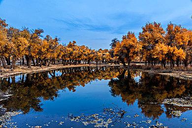 Valve最新掌机Steam Deck发售了，但没有完全发售